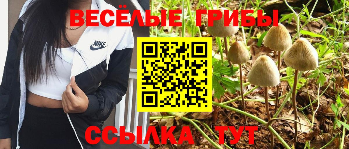 Торжок  Галлюциногенные грибы ЛСД  Галлюциногенные грибы Magic Shrooms  Вход с VPN 