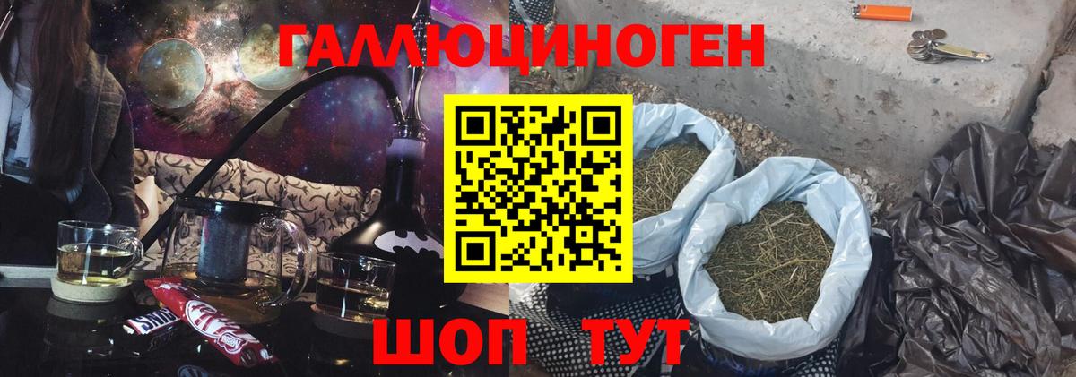 Псилоцибиновые грибы мицелий Торжок