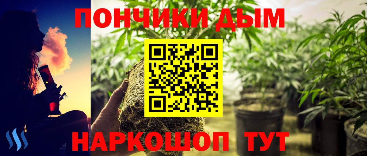 Торжок  Бошки марихуана LSD WEED  Вход с VPN  Бошки Шишки семена  Каннабис план  Каннабис сатива 